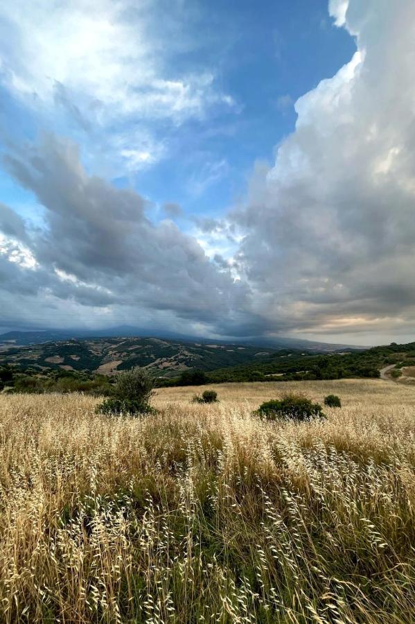 Casa Primavera A Rocca D'Orcia Castiglione dʼOrcia Εξωτερικό φωτογραφία